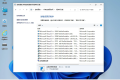 电脑系统 Windows 11 Pro 22631 5262 稳定精简 极限版 二合一 – 小修 [1.59G]最新版