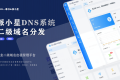 2025派小星DNS二级域名分发公测免费版