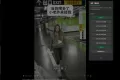 微信视频号下载助手 wx_channel V5.6.5