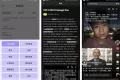 ViiTor实时翻译_2.8.1