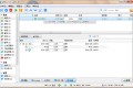 qBittorrent(强大的BT下载工具)v5.1.0.10中文绿色增强版
