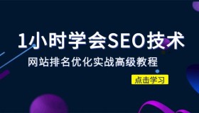 1小时学会SEO技术 网站排名优化实战高级教程-秒杀市面95%收费几千的SEO教程