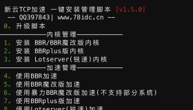BBR原版/魔改/plus/锐速多合一脚本linux加速脚本/硬盘挂载/cc防御/宝塔/dns