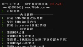 BBR原版/魔改/plus/锐速多合一脚本linux加速脚本/硬盘挂载/cc防御/宝塔/dns