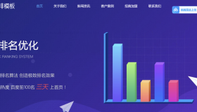 seo快排网站模板 大气的IT网络软件公司网站源码