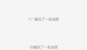 PC 微信防撤回插件 适用3.9.12.31