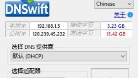 DNS切换工具DNSwift v1.1中文版