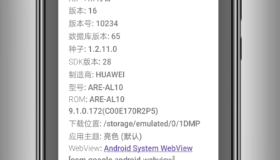 1DM+ v16 完整版-安卓下载神器