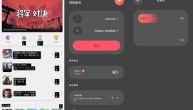 游戏屏幕实时翻译（可识别全球语言）