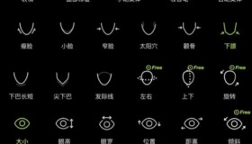 Hypic醒图国际版7.3.0-解锁永久会员-免登录