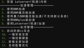 BBR原版/魔改/plus/锐速/七合一脚本linux加速脚本/硬盘挂载/cc防御/宝塔