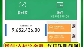 微X模拟器（免登录解锁会员）