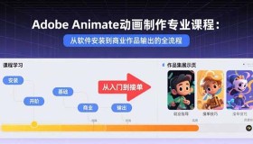 Adobe Animate动画制作专业课程：从软件安装到商业作品输出的全流程