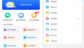微心聊天恢复APP 能挽回点就挽回