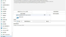 多显示器管理DisplayFusion Pro v12.0.1高级版
