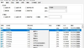 zRenamer(批量改名工具)v1.5 绿色版