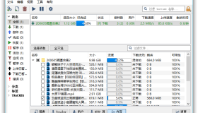 BT下载利器 qBittorrent 4.5.3.10 便携增强版