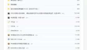 IPv6网络文件传输工具