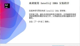 IntelliJ idea 2025.3.1.0 高级版