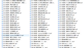 PS人像二次元AI智能修图合成课（视频）