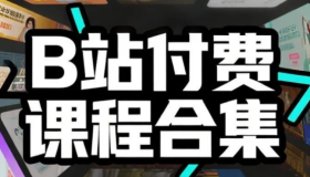 B站付费课程超级大合集 mp4