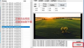 4K高清壁纸 v1.6 壁纸批量下载