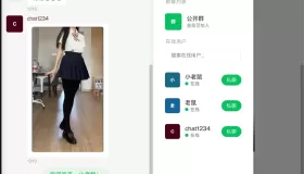 PHP实时消息聊天室源码 PHP+WebSocket