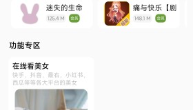 iApp v6软件库+后端 超好看功能多