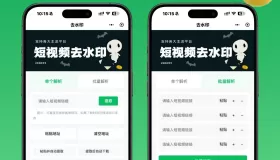 去水印小程序视频提取小程序源码支持二次开发流量主源码小程序