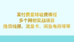 某付费课程：多个网创实战项目，撸货线报、流量卡、闲鱼电商等等