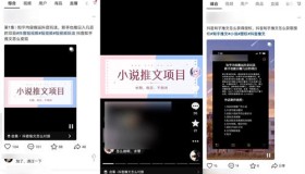 通过抖音seo操作知乎推文小说项目精准引流1000粉