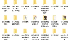 32套各类烧烤炭烤小吃技术合集，打工的牛马们，学门技术备个后路