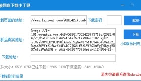 蓝奏网盘最新协议解析下载工具，秒解析，自动下载！