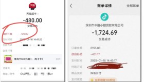 支付宝能再来一次吗？我想买套房（支付宝重大事故）