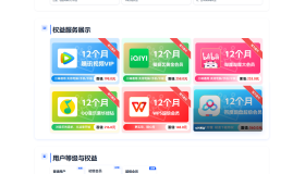 两款大气的企业级数字权益官网源码