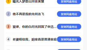 短剧h5源码免费下载，内嵌API接口，含9999+短剧资源