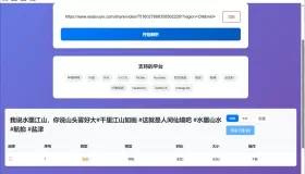 Windows 视频解析工具_v1 绿色便携版