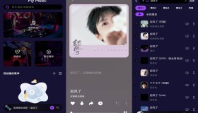 Fly音乐-Plus 收录全球歌曲资源