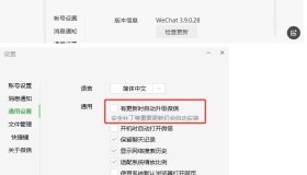 微信PC版WeChat v4.0.6.33多开防撤回绿色版