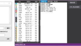 一键查网络验证工具源码