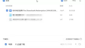 迅雷最新版 绿化精简版 高速下载资源 磁力下载