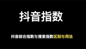 做抖音关键词综合排名，综合指数与搜索指数以哪个为准