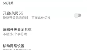 手机5G网开关 2.0.2