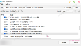 B站视频下载器 Bili23-Downloader v1.55.0 新春版，支持自动高音画质