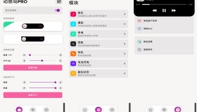 动感岛PRO 给你带来视觉上的享受