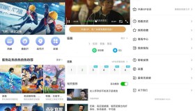 安卓爱奇艺国际版v10.2.0体积小26.3M纯净版