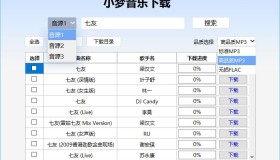 小梦音乐下载器v1.0