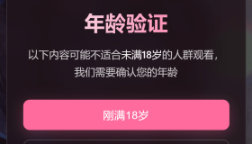 年龄验证恶搞页源码