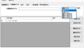 万能TxT文件超级批量处理器