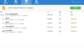 Wise Disk Cleaner v11.3.1.851绿色版